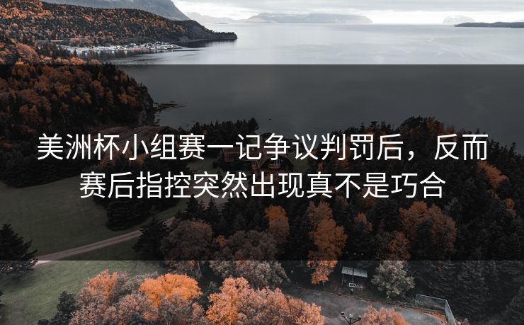 美洲杯小组赛一记争议判罚后，反而赛后指控突然出现真不是巧合